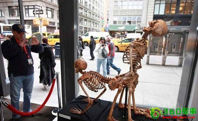 ���ͼƬ�鿴��һҳ